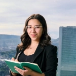 Стратегический анализ игрового продукта Zeus vs Hades для бизнеса